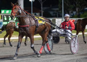 Queensland harness racing wrap