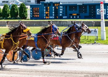 Weekend Atnannies braves parked-out trip for narrow upset