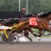 Trotting youngsters clash in $212,500 OSS Gold leg 2 Trotting youngsters clash in $212,500 OSS Gold leg