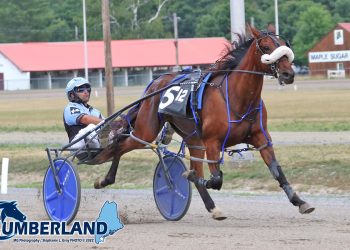 Stong two-year-olds send off Cumberland meet