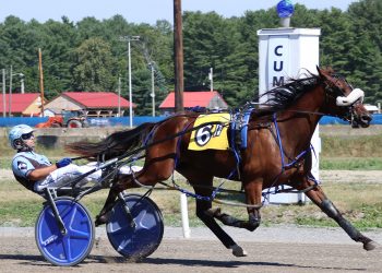 Fairs await Maine freshmen after Cumberland finale