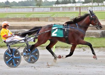 Freeborn cruises in Buckeye Series