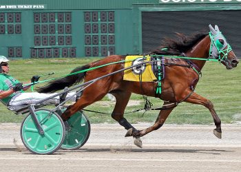 Maiden winners in all three Ohio Sire Stakes