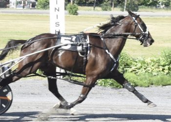 Heath Campbell should have been a surgeon