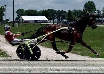 Fast freshmen sizzle at What Cheer