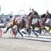 Last prelims ahead for Breeders Trophy Series 2
