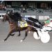 Late charge wins Open Trot at Vernon