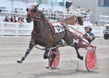Chikaboom can’t be caught in Breeders Trophy Series