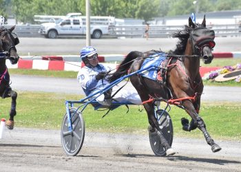 Fillies and colts set to battle in Future Stars Series