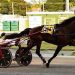 Batavia Downs opens with NYSS action