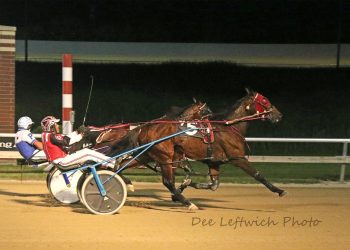 Top Alberta mare takes Aces debut