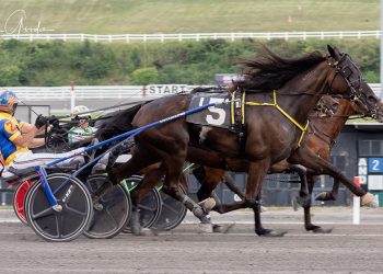 Keystone Chaos keeps streak alive