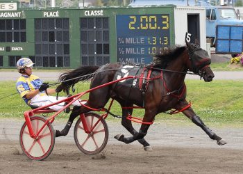 Little Diamond sparkles in Future Stars Series