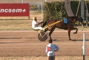 108th Hungarian Trotting Derby at Kincsem Park