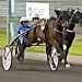 Zaccaria Bar wins Delicious US Trot at Bollnas 3 Zaccaria Bar wins Delicious US Trot at Bollnas