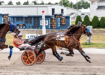 Lougazi back to winning ways at Buffalo