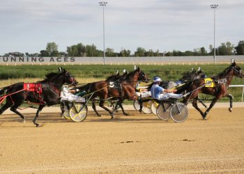 Running Aces set for Dan Patch FFA Pace