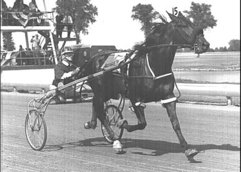 The influence of Down Under horses in the USA