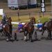 Queensland harness racing wrap 3 Queensland harness racing wrap
