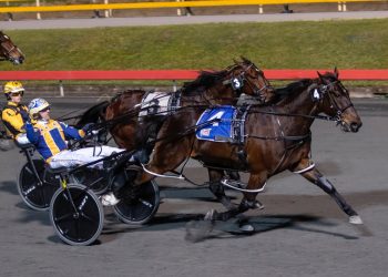 Grimson and Hart stamp their names in $355,000 Group 1