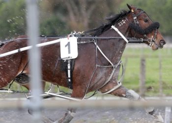 Behrns returns to training after decade-long hiatus