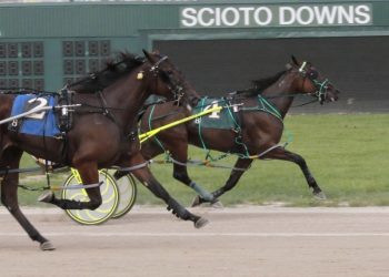 All the way to winner’s circle for Allnight Micki