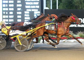 All Bets Off filly doubles in $103,100 Gold