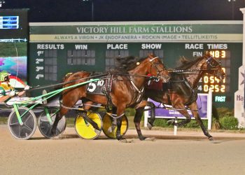 Records for Boudoir Hanover and JK Victory