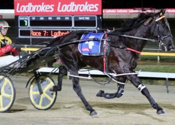 Family domination across states