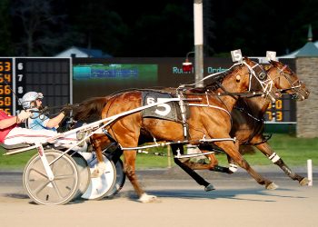 “Betty” dukes it out with Demeter at The Spa