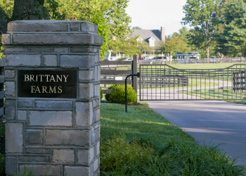 Theresa Quinlan passes, aged 68