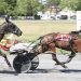 Grand slam Graffam glimmers at Bangor Raceway 2 Grand slam Graffam glimmers at Bangor Raceway