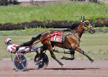 This Is The Plan outguns Jack’s Legend N