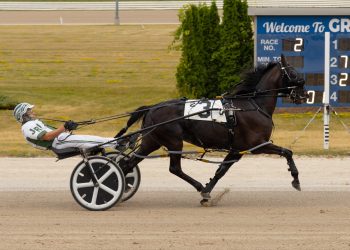 Chelseas Twilight back better