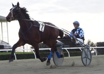 Cracker Hill injured again