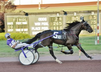 David Miller wins five on PA All-Stars Night