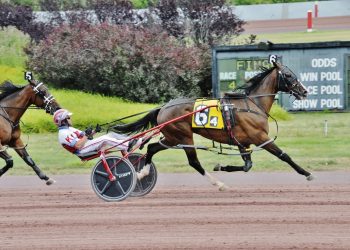 Gate-to-wire for Fulsome at The Downs