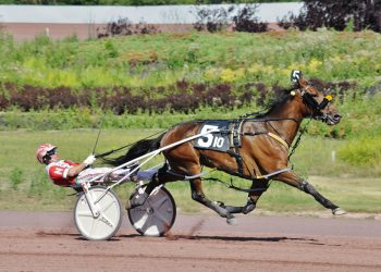 Ruthless Hanover all business in 1:47.4