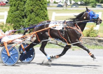 Hall double highlights holiday action