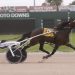 Page dominates Buckeye Stallion Series leg two 3 Page dominates Buckeye Stallion Series leg two