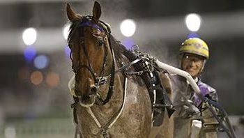 Liaison continues rich vein of form