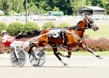 Demeter N making mark early at Saratoga