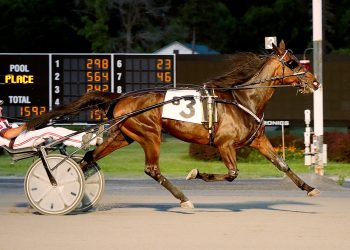 ER Sophia steps up with top class win