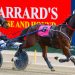 Trotters setting the standard at Menangle