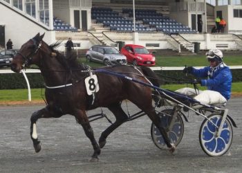 Wet track win for Foveaux Strait
