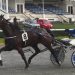 Wet track win for Foveaux Strait