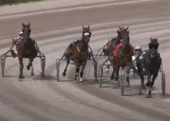 Gentry Seelster back on top at Northside