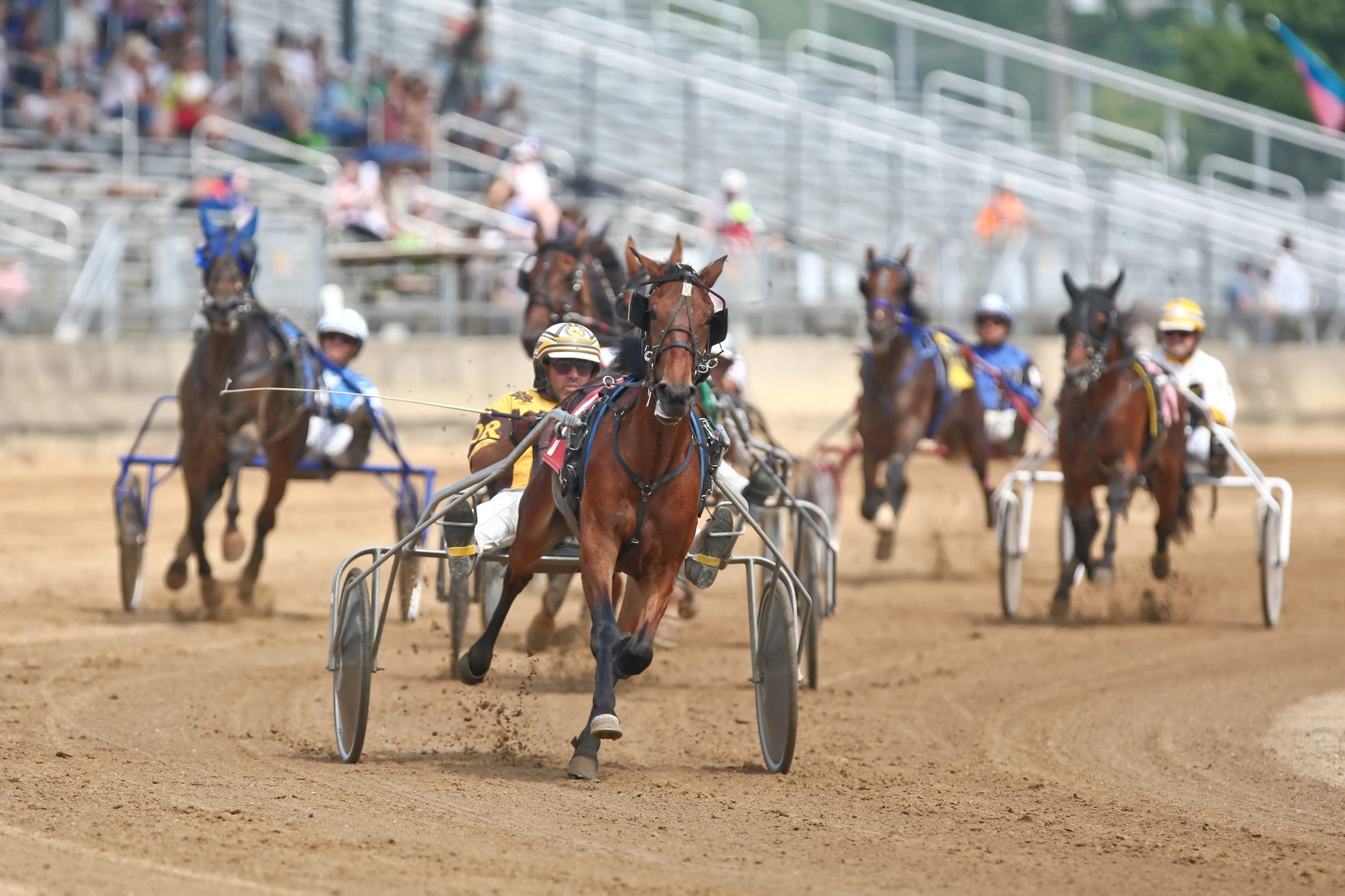 “Quest for the Governor’s Cup” featured at Elkhart - Harnesslink