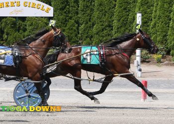 Gotthegreenlight ready to go in rich Breeders Classic