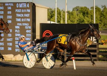 Grammys Girl makes OSS debut in $101,300 Gold division